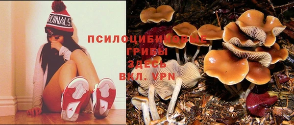 каннабис Осинники