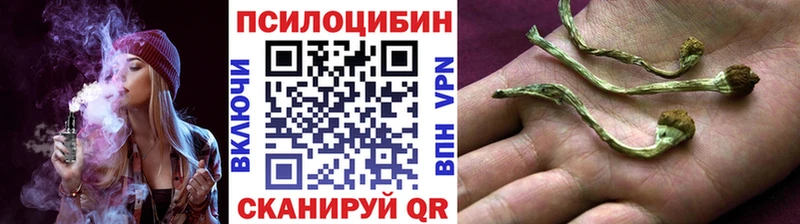 Галлюциногенные грибы прущие грибы купить наркоту Сосновка