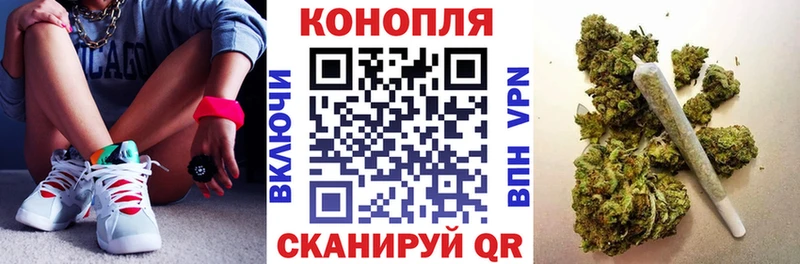 Конопля сатива сколько стоит OMG ссылка Сосновка